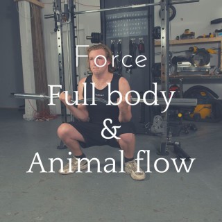 Force full body & yoga 