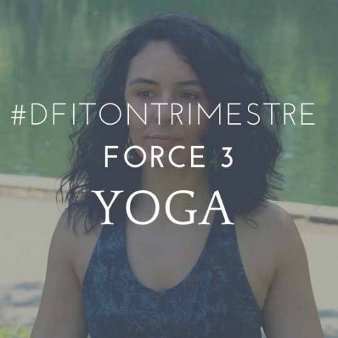 DFITONTRIMESTRE 27 Force yoga